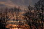 Una scia tra gli alberi