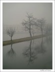 nebbia sul ticino