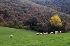 scansione da DIA 
un ponte di novembre di due anni fa