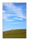 Paesaggio marchigiano 4