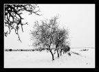 ...DOPO LA NEVICATA...