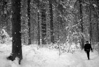 Un sentiero a Kranjska Gora (Slovenia)