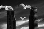 Long Island City