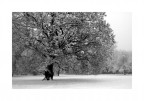 Quadretto Invernale