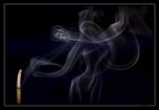 ProFumo di Donna