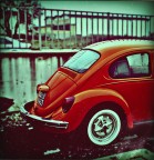 Half beetle
