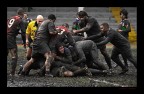 rugby