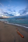 Venuto dal mare