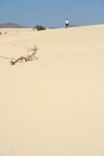 Camminando nel deserto