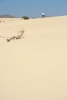 Parco nazionale delle dune...Fuerteventura.