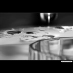 ::: UNA INSOLITA MACRO :::