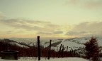 vigne innevate