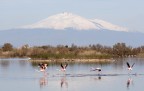 saline di Priolo