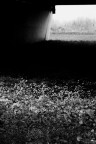 Boretto 2009