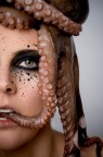 octopus and fish