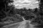 Scatto in movimento durante il viaggio verso N'Zerekore - Guinea - 2007