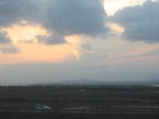 alba simpatica