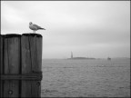 Una piccola foto ricordo scattata con una compattina Sony durante il mio recente viaggio a New York...spero vi piaccia!