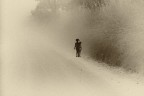 shadows