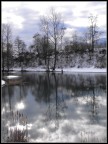 reflections