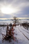 trail della merla