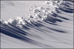 forme nella neve