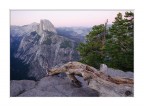 ynp