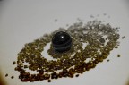 Spirale &quot;ZEN&quot; 2