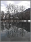 other reflections