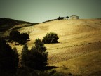 La casetta piccolina in Canad
