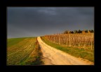 L'ultimo raggio di sole