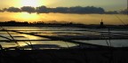 Tramonto alle saline