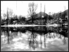 reflections BN