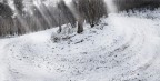 Mystic Winter