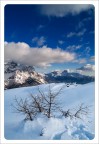 Un &quot;tuffo&quot; nel blu