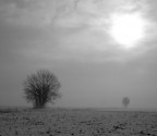 nebbia d'inverno