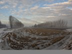 risaia d'inverno