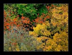 colori della natura