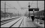 Uno scatto di sfuggita alla stazione FS di Lambrate (Milano)
Credo che racchiuda l'umore di tutti i pendolari quando devono andare al lavoro il mattino con la neve e l'immancabile nebbia.