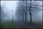 Una mattina di dicembre.