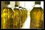Oil