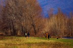 Passeggiata lungo il fiume