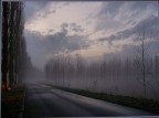 silenzi