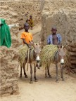 Lungo il fiume Niger