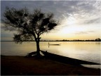 Djenne, Mali