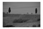 Fulignano