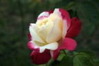 Che colori!