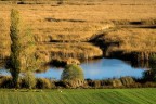 oasi di colfiorito