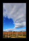 La casa sulla vigna
