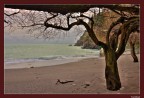 Costa vietrese-la quiete dopo la tempesta